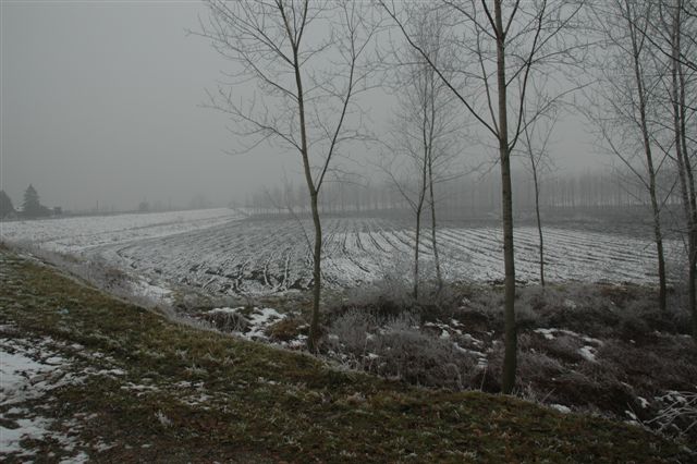 DSC 0060